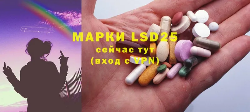 наркотики  Щёкино  ЛСД экстази ecstasy 